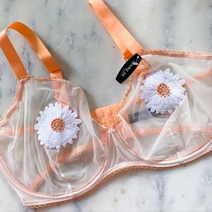 Daisy bra and panty set